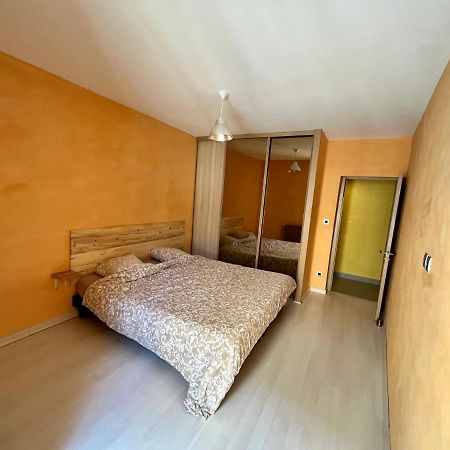 Appartement 2 Chambres - Lits King Size - Wifi - Baignoire Le Puy-en-Velay المظهر الخارجي الصورة